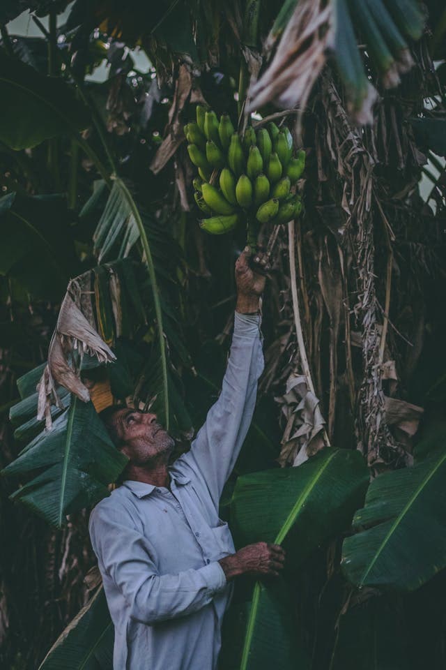 Farmer with produce