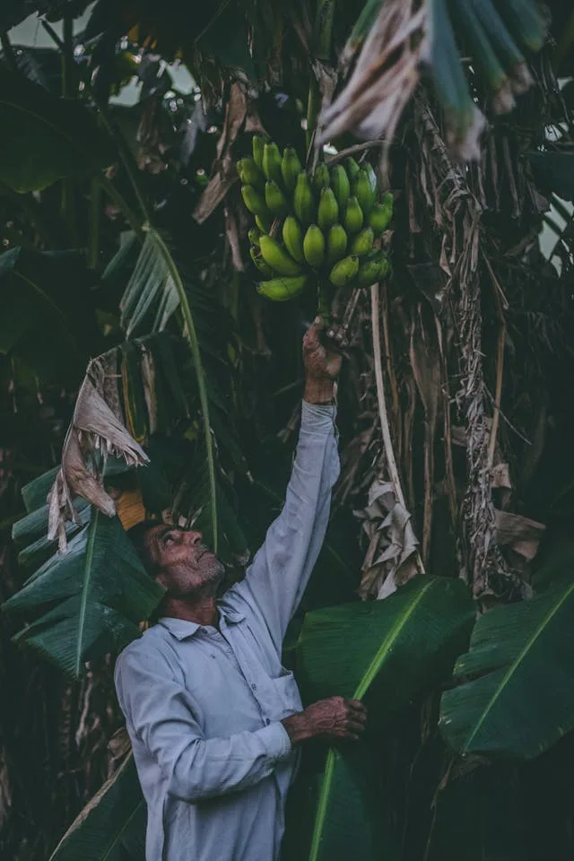 Farmer with produce